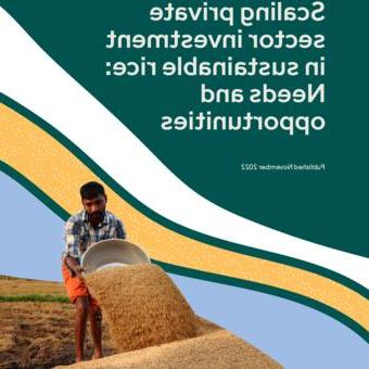 可持续水稻景观倡议-扩大私营部门对可持续水稻的投资:需求和机遇 