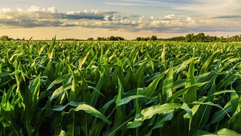 Climate transition in agriculture will need the support of banks 